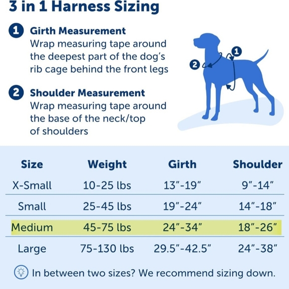 Petsafe 3 in 1 Dog harness Medium New in box - Picture 5 of 16